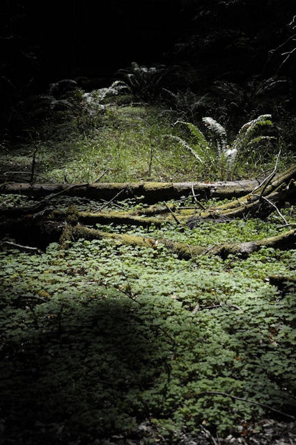 Photograph by Myles Boisen